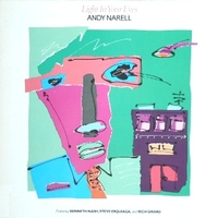 Light in your eyes - ANDY NARELL