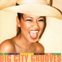 Big city grooves - VARIOUS