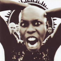 Stoosh - SKUNK ANANSIE
