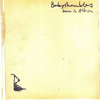 Down in Albion - BABYSHAMBLES