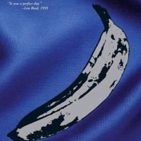 Velvet redux live MCMXCIII - VELVET UNDERGROUND