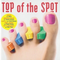 Top of the spot 2006 - VARIOUS