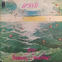 Sexy \ Human machine - M.F.S.B. (Mother father sister brother)