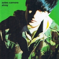 Stray - AZTEC CAMERA