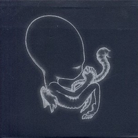 Agaetis byrjun - SIGUR ROS