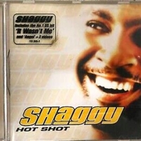 Hot shot - SHAGGY