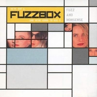 Fuzz and nonsense - FUZZBOX