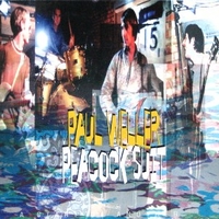 Peacock suit \ Eye of the storm - PAUL WELLER