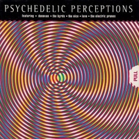 Psychedelic perceptions - VARIOUS