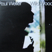 Wild wood - PAUL WELLER