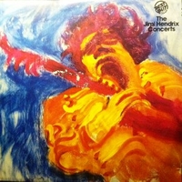 The Jimi Hendrix concerts - JIMI HENDRIX