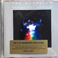 Beautiful vision - VAN MORRISON