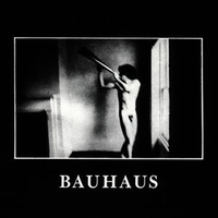 In the flat field - BAUHAUS
