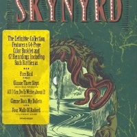The definitive Lynyrd Skynyrd collection - LYNYRD SKYNYRD
