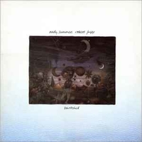 Bewitched - ANDY SUMMERS \ ROBERT FRIPP