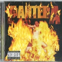 Reinventing the steel - PANTERA
