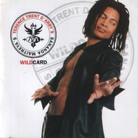 Sananda Maitreya's Wildcard - TERENCE TRENT D'ARBY