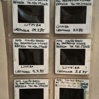 Set of 6 official photographer's slides - LITFIBA