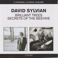 Brilliant trees + Secrets of the beehive - DAVID SYLVIAN