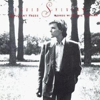 Brilliant trees + Words with the shaman - DAVID SYLVIAN