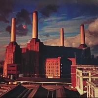 Animals - PINK FLOYD