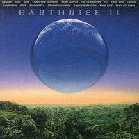 Earthrise II (by Artists for the enviroment) - VARIOUS
