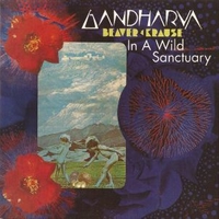 In a wild sanctuary + Gandharva - BEAVER & KRAUSE