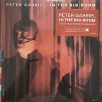 In the big room - Live at the Real World studios 2003 - PETER GABRIEL