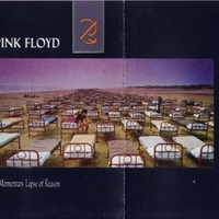 A momentary laps of reason - PINK FLOYD