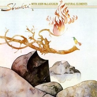 Natural elements - SHAKTI \ JOHN McLAUGHLIN