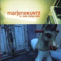 Che cosa vedi - MARLENE KUNTZ