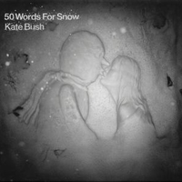 50 words for snow - KATE BUSH