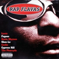 Rap flavas - VARIOUS
