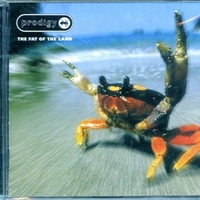The fat of the land - PRODIGY