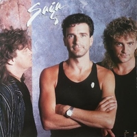 Wildest dreams - SAGA