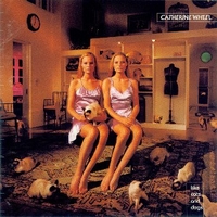 Like cats and dogs - CATHERINE WHEEL