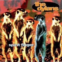 Spirit finger - DYLANS