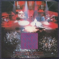 Promised you a miracle \ Book of brilliant things - SIMPLE MINDS
