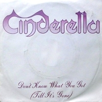 Don't know what you got (till it's gone) \ Fire and ice - CINDERELLA