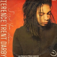 Sign your name (Lee Scratch Perry remixes - TERENCE TRENT D'ARBY