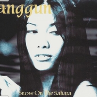 Snow on the Sahara (3 tracks) - ANGGUN