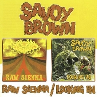 Raw sienna + Looking in - SAVOY BROWN
