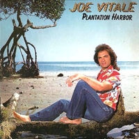 Plantation harbor - JOE VITALE