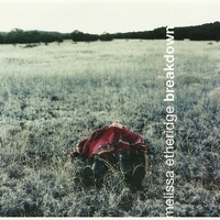 Breakdown - MELISSA ETHERIDGE