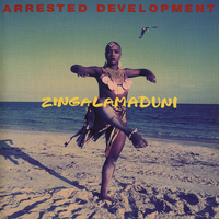 Zingalamaduni - ARRESTED DEVELOPMENT