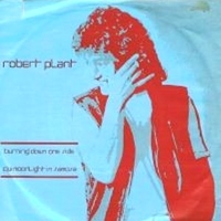 Burning down one side \ Moonlight in Samosa - ROBERT PLANT