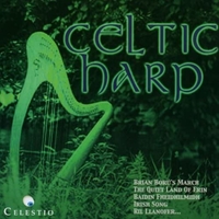 Celtic harp - LORENZA POLLINI \ MARCO PASETTO \ FABIO COBELLI