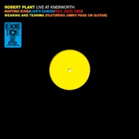 Live at Knebworth 1990 (RSD 2021) - ROBERT PLANT