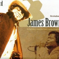 The shadow of James Brown - JAMES BROWN
