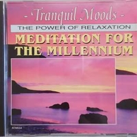 Tranquil moods: meditation for the millennium - PAUL RAINER-BROWN \ DAVID BRITTAIN